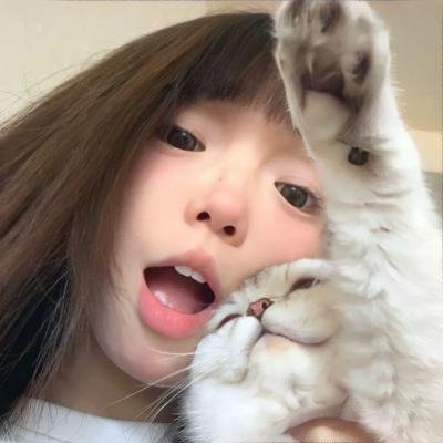 盗贼生涯